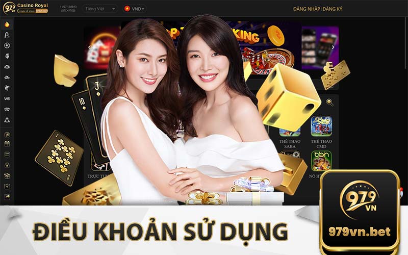Điều khoản sử dụng